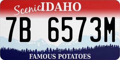 ID license plate 7B6573M