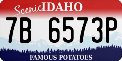ID license plate 7B6573P