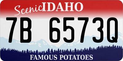 ID license plate 7B6573Q