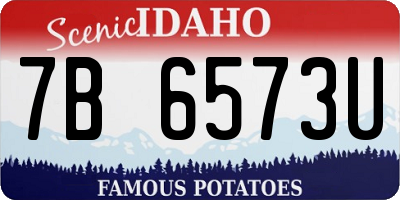 ID license plate 7B6573U