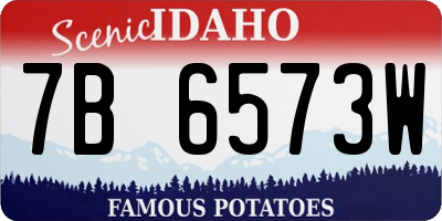 ID license plate 7B6573W