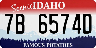 ID license plate 7B6574D
