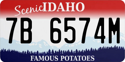 ID license plate 7B6574M