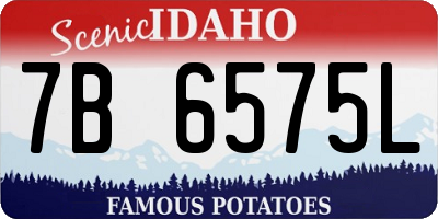 ID license plate 7B6575L