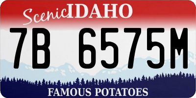 ID license plate 7B6575M