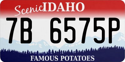 ID license plate 7B6575P