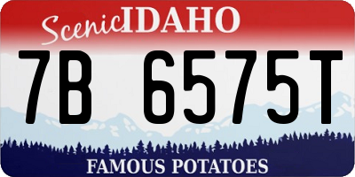 ID license plate 7B6575T