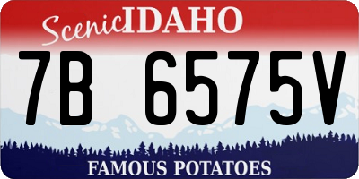 ID license plate 7B6575V