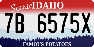 ID license plate 7B6575X