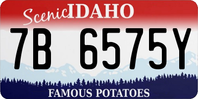 ID license plate 7B6575Y