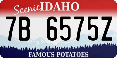 ID license plate 7B6575Z