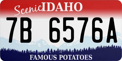ID license plate 7B6576A