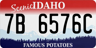 ID license plate 7B6576C