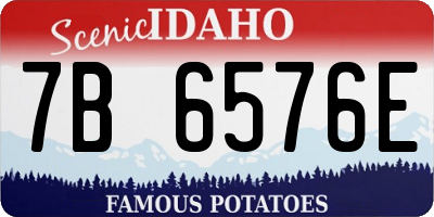 ID license plate 7B6576E