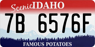 ID license plate 7B6576F