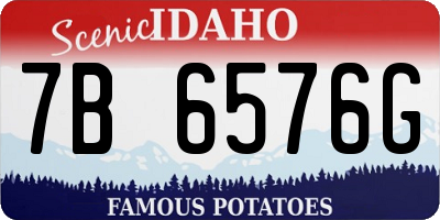 ID license plate 7B6576G