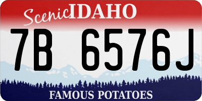 ID license plate 7B6576J