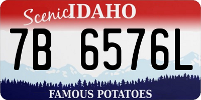 ID license plate 7B6576L