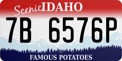 ID license plate 7B6576P