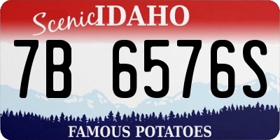 ID license plate 7B6576S