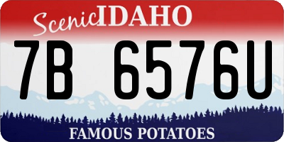 ID license plate 7B6576U
