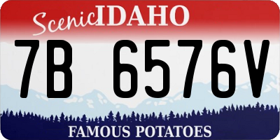 ID license plate 7B6576V