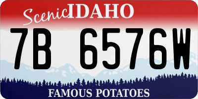 ID license plate 7B6576W