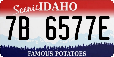 ID license plate 7B6577E