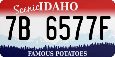 ID license plate 7B6577F