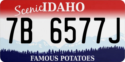 ID license plate 7B6577J