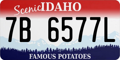 ID license plate 7B6577L