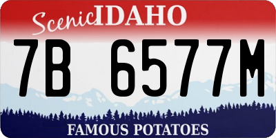 ID license plate 7B6577M