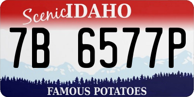 ID license plate 7B6577P