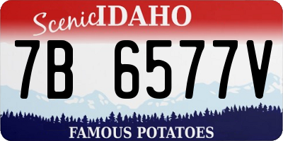 ID license plate 7B6577V