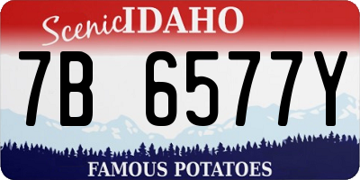 ID license plate 7B6577Y