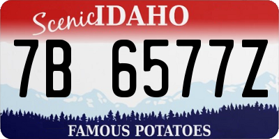 ID license plate 7B6577Z