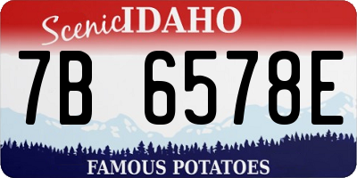 ID license plate 7B6578E