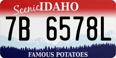 ID license plate 7B6578L