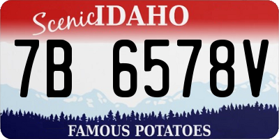 ID license plate 7B6578V