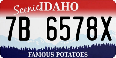 ID license plate 7B6578X