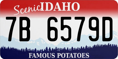 ID license plate 7B6579D