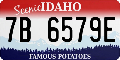 ID license plate 7B6579E
