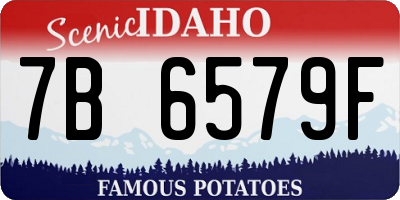 ID license plate 7B6579F