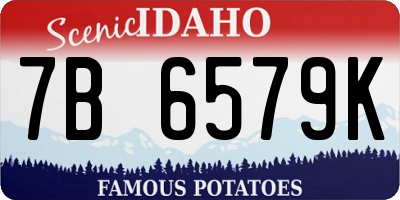 ID license plate 7B6579K