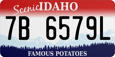 ID license plate 7B6579L