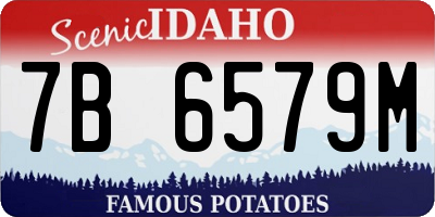 ID license plate 7B6579M