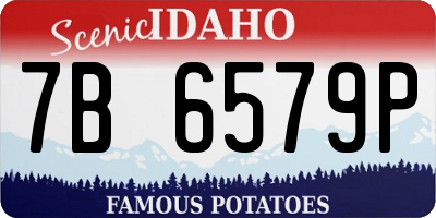 ID license plate 7B6579P
