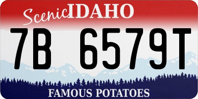 ID license plate 7B6579T
