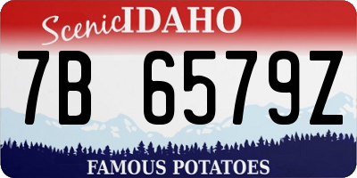 ID license plate 7B6579Z