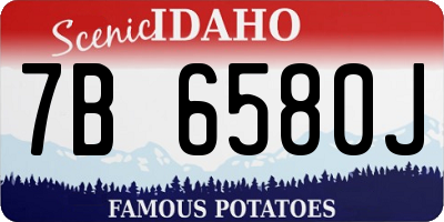 ID license plate 7B6580J